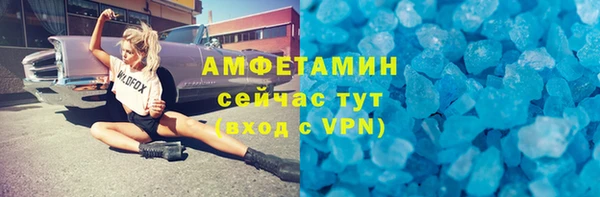 шишки Гусь-Хрустальный