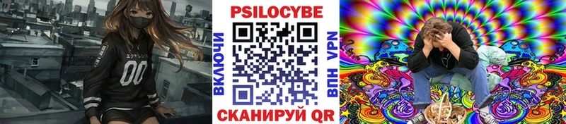Купить закладки  Жуковка  Псилоцибиновые грибы MAGIC MUSHROOMS 